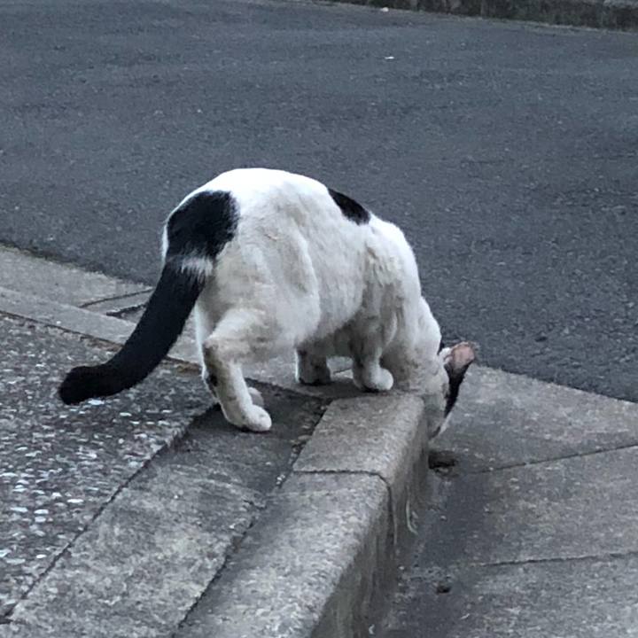 Edec7606 abbf 43bf bc18 ce40e86e4c29 1517911282325