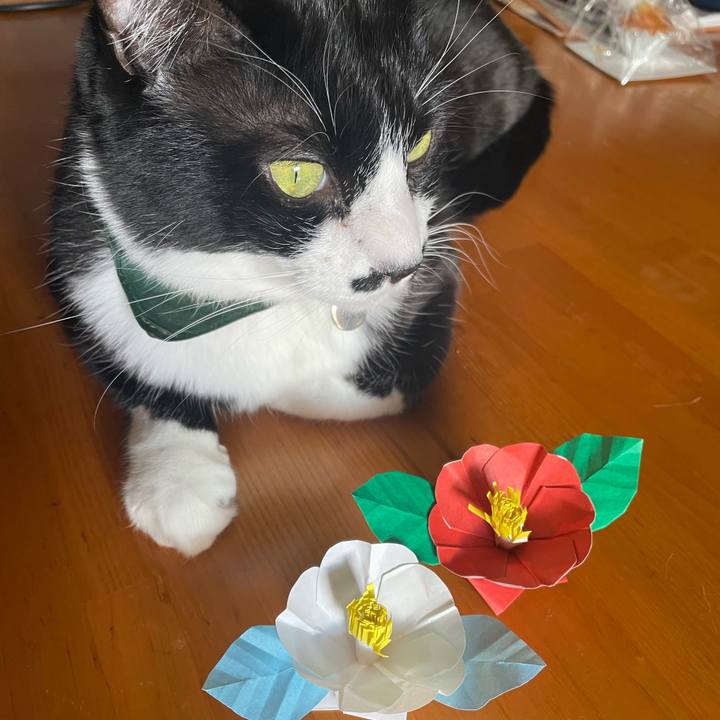 Edec843a 05a4 40a5 8009 8b31b4ed4c70 1736993018318