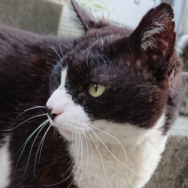 Edec8fb5 3531 48bd 92bb bb708b1ce090 1615880018773