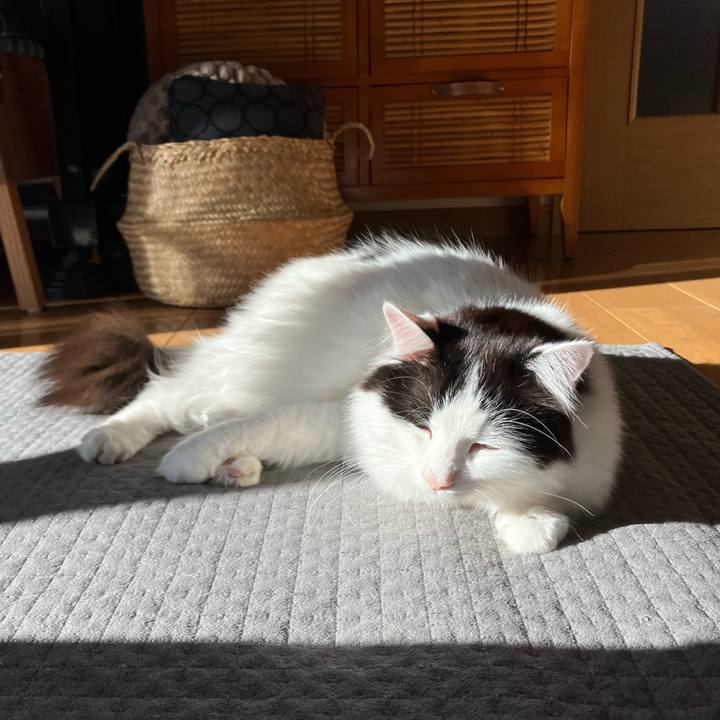 Edec8fd3 54b6 42dd b645 c14fea28faa2 1767400452331