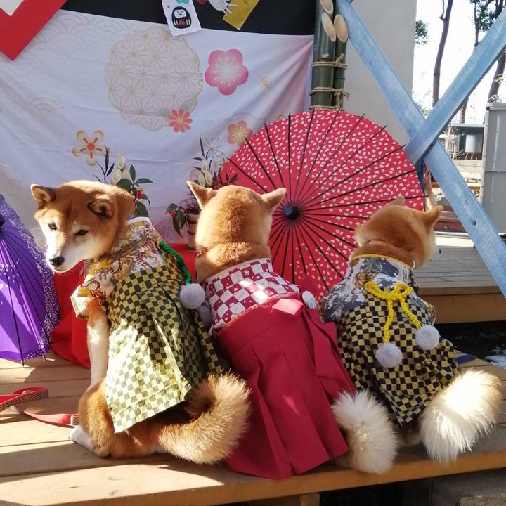 Edecb0b9 1492 4ee8 981a 5064a561809a 1641727923823