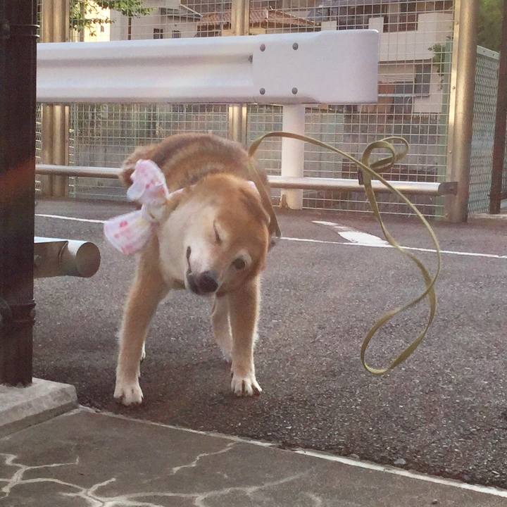 Edece1b7 7d3c 4c99 a9ad 73294e4dc7cd 1626944069931