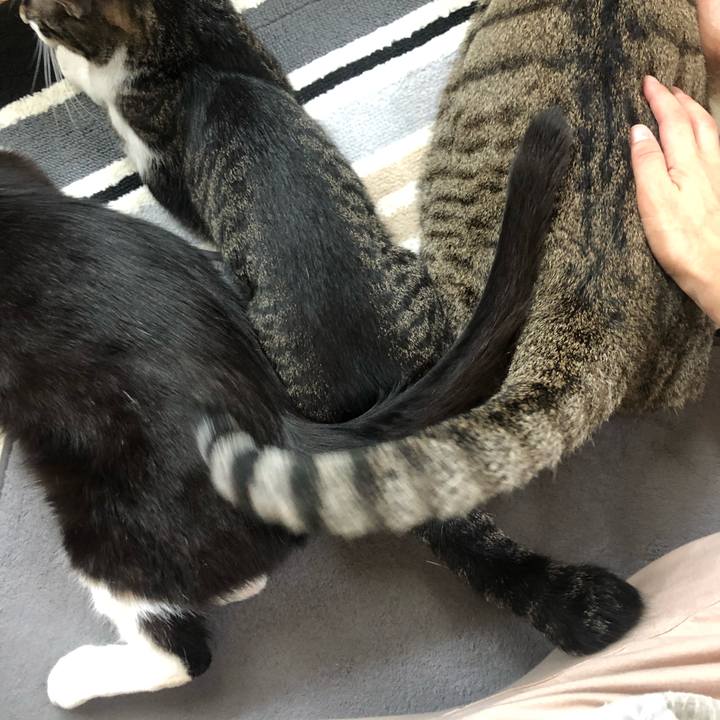 Edece380 20ae 4625 8c71 96e862e6ed49 1593741807326