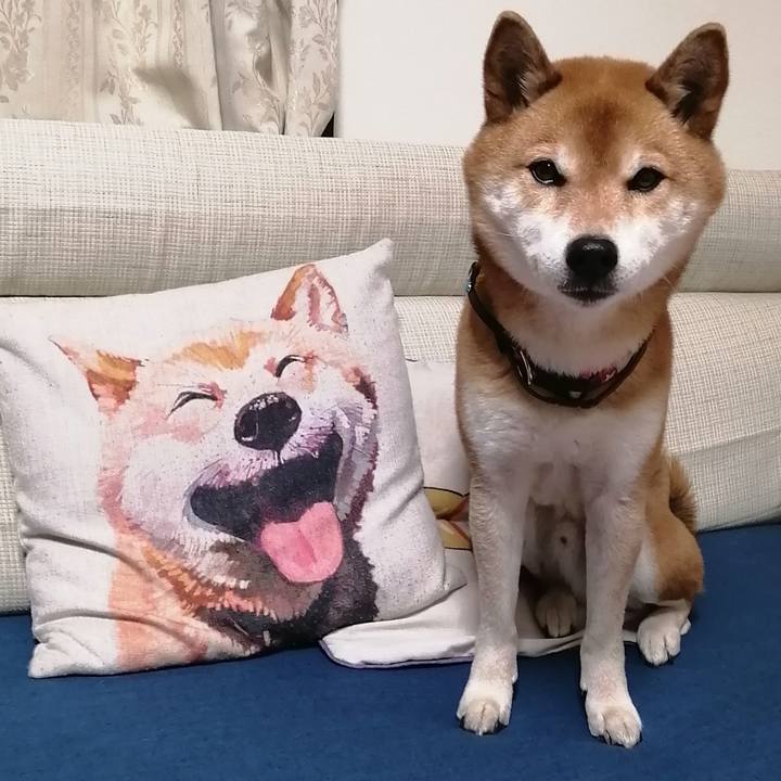 Eded1ee3 4e8f 4ca0 a6df 80fb663b96cc 1675335716897