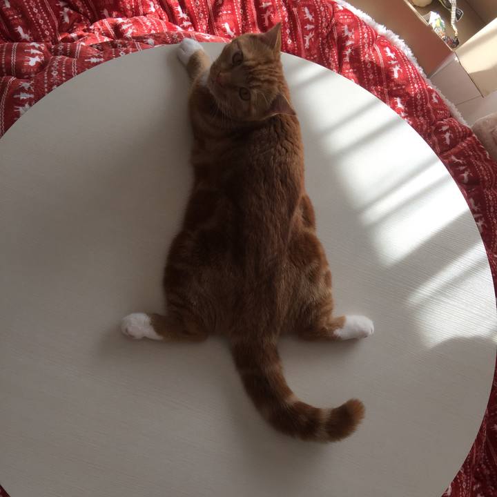 Eded5f24 af71 449d 83c8 71d81ea8313b 1510365335061