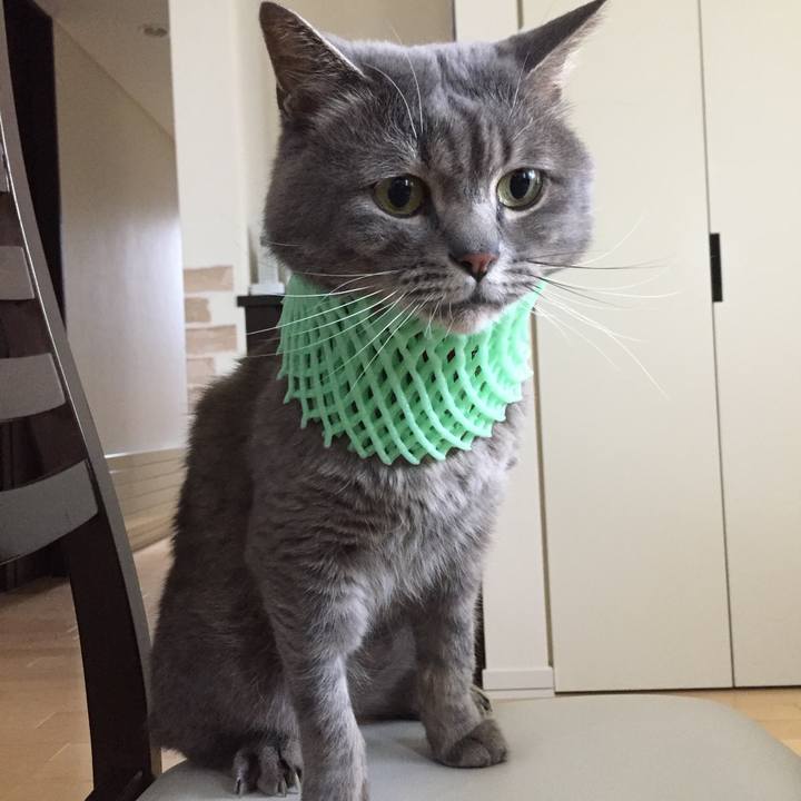 Eded6e10 abb6 45c2 9d86 7793b31a1022 1533684637811