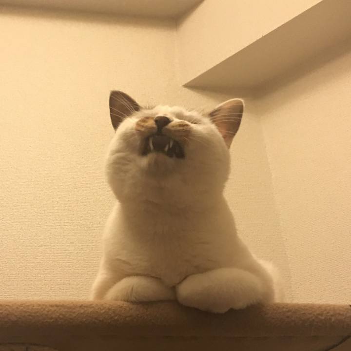 Ededac1d 6ce9 40fe 9343 9cde43c6b6c8 1519805557332