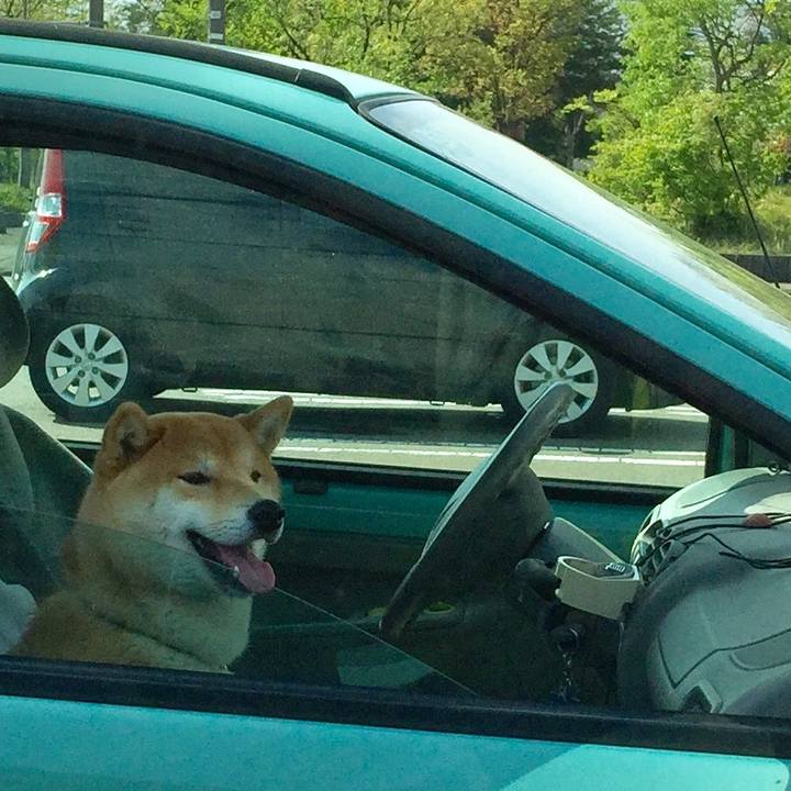 Ededb810 889e 4941 958c 9337bb538e88 1525040264597