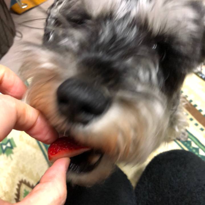 Ededc77b ea4f 47db 8f7a b2ae1d63159f 1650808669493