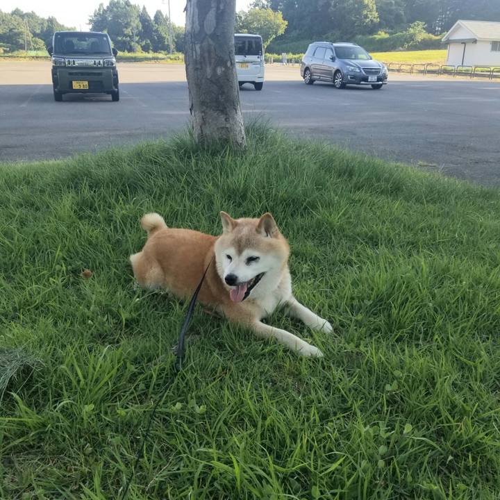 Edede143 7abc 40e9 962f 215ee6114001 1722501103110