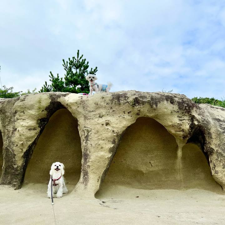 Edee19fb 9099 4673 bcb5 f5e2d5bf6de9 1657438842714