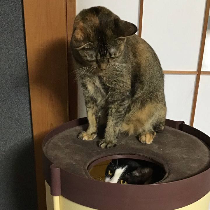 Edee2c4c 8423 4003 9daf adee00aabb93 1663578634894