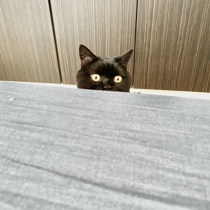 Edee38da b324 45d8 9c97 de8bfd60e593 1683070154949