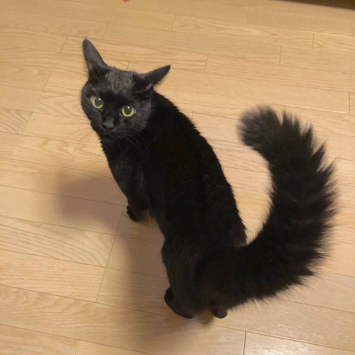 Edee62f8 30c0 4815 9d04 946c270755cb 1538579976495