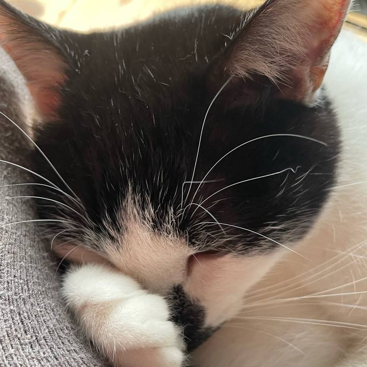 Edeee535 45d7 45bf a0b1 db4b50341c13 1764300698194