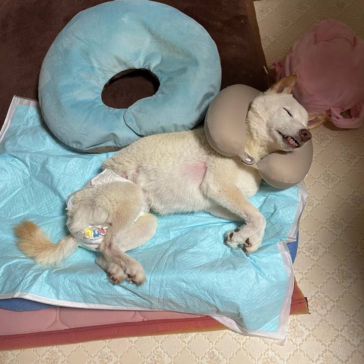 Edeeec64 3dec 4969 86e2 486edb5c3851 1667385682604