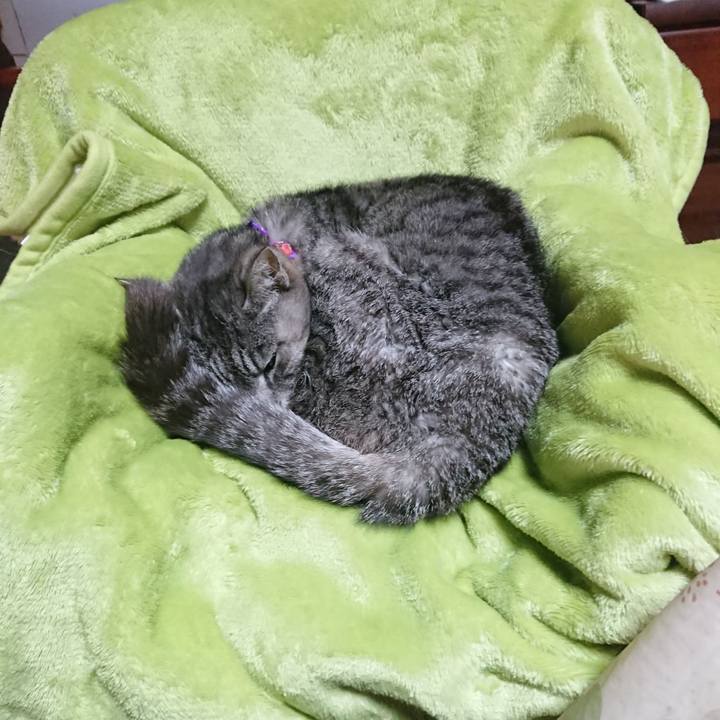 Edef0320 f15a 455c b7d9 149c5f3fd8f3 1587937843194