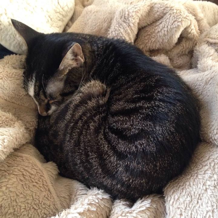 Edef3be2 6ac6 4cb9 982c 3188d40e914d 1511945097691