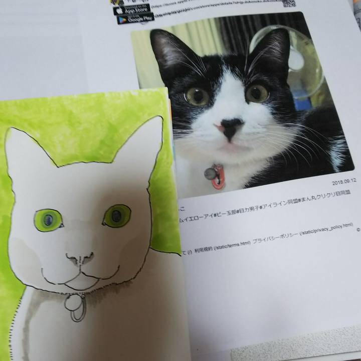 Edef42b5 21f2 41f1 b88e 2a6c31683bfe 1537771051424