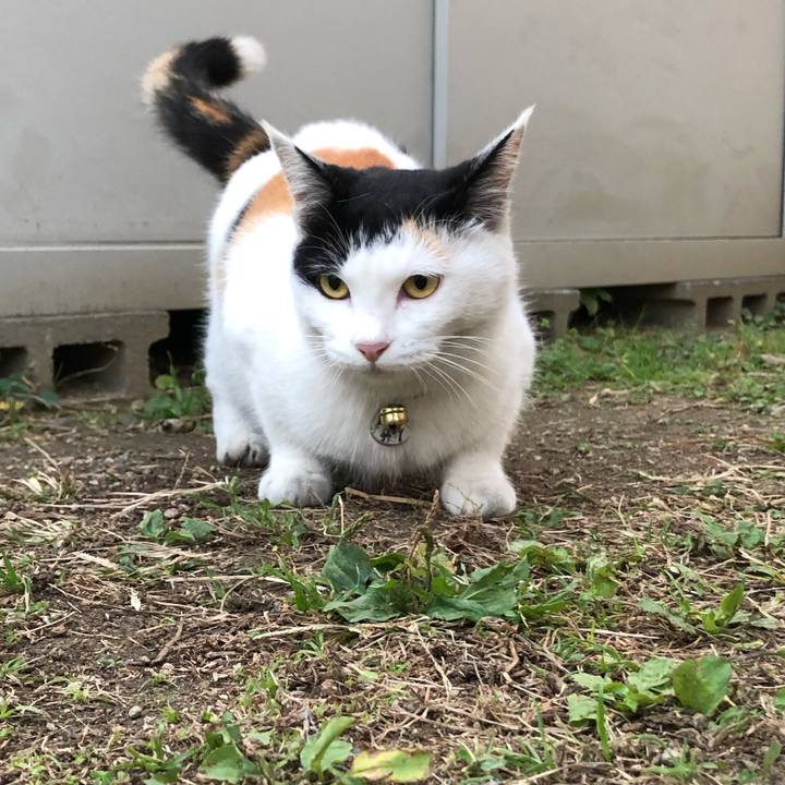 Edef5668 6969 4b49 b701 192472805ced 1605845640104