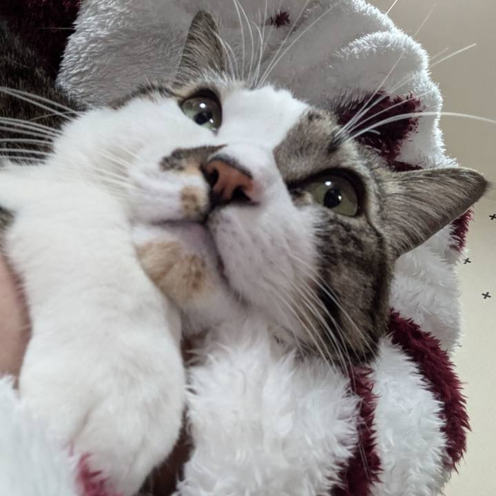 Edef74ae 6a62 4a50 ba63 59af76e94733 1735738477287