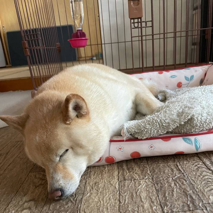 Edef9008 64b9 4b85 9672 c4a78a0e7e37 1715930303761