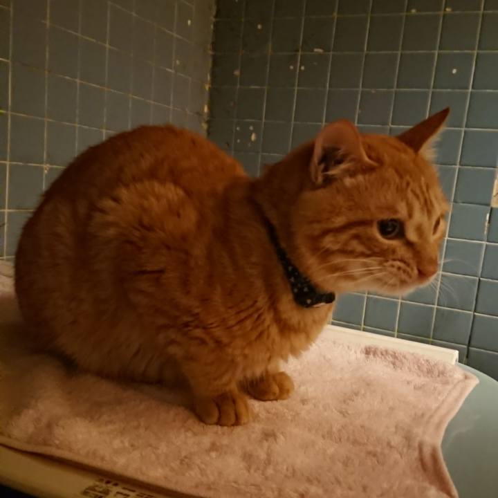 Edefa4c4 0221 4e6a 9a50 536c43dcbaab 1641462384904