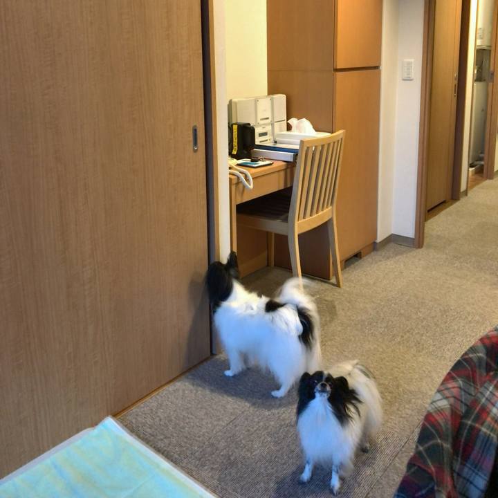 Edefbcb5 3a87 4bb6 b6ad 312a5e612088 1539612613248