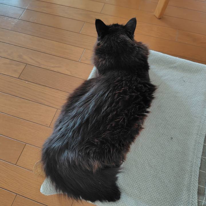 Edefbf7f 8cc4 4e15 ab62 6a49b885d930 1741993699517