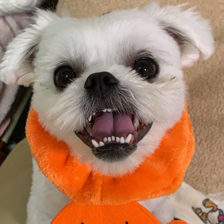 Edefcc9d 8ecd 4fa0 b8b4 9e7beee6bf78 1633184089279