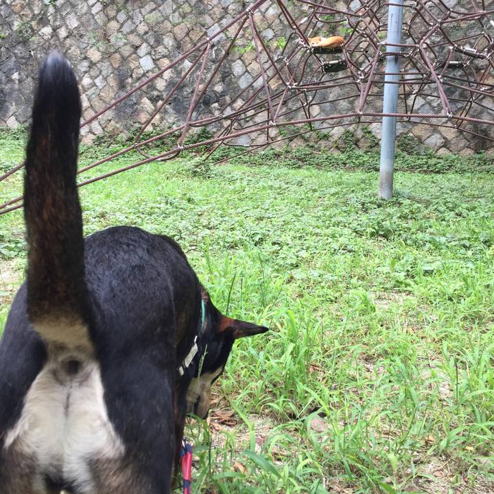 Edefd38c 30d5 4896 aba3 2681589e5e1a 1536847278389