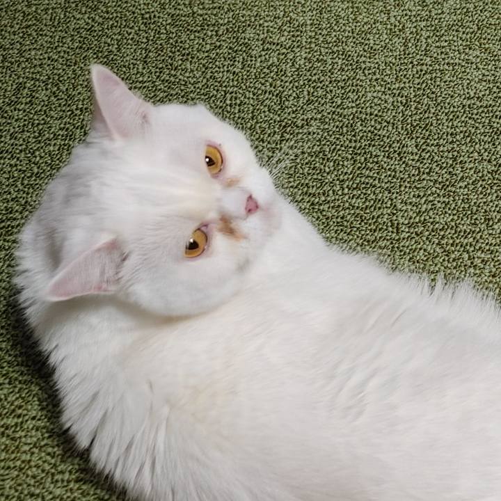 Edefe3f7 6db3 4e9a a645 9dbd82893746 1626876821812