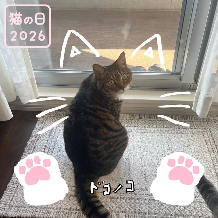 Edf0061f d2cd 4fc7 bf72 ecd1e1f2209f 1771765810305