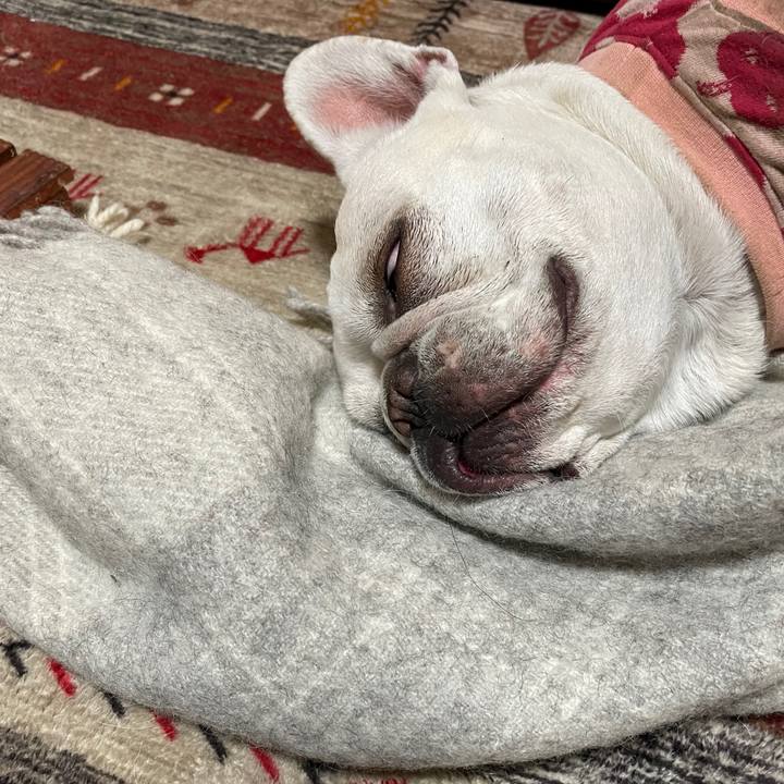 Edf031f3 2369 484b a1af 55004866bd13 1738709819017