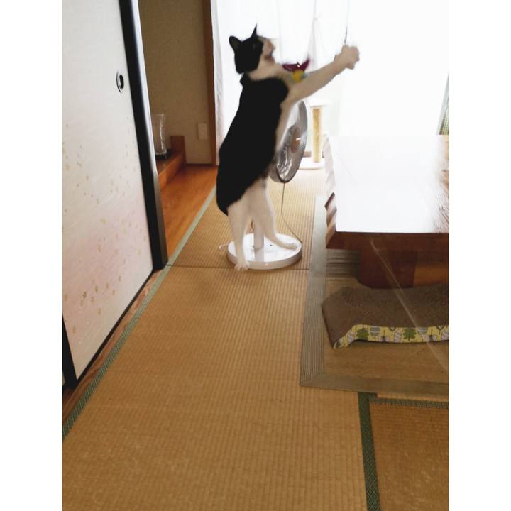 Edf04122 ff81 4621 a9ad f40cb26eb2d9 1596464015114