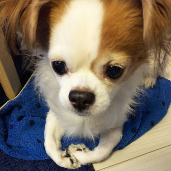 Edf0c6cd e86f 494c a391 f327f1b41095 1740230048639