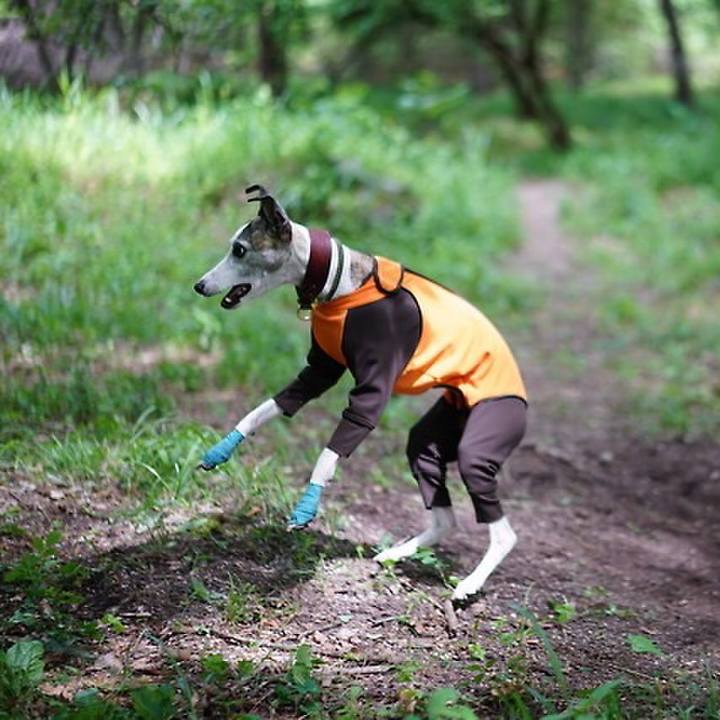 Edf0ca46 3802 45d1 8167 690908a5bce7 1532084783478