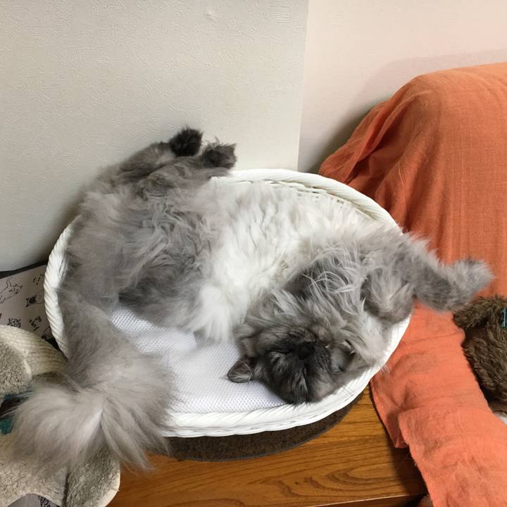 Edf110ff 4425 47db 9216 eca4fae4a143 1555378546515