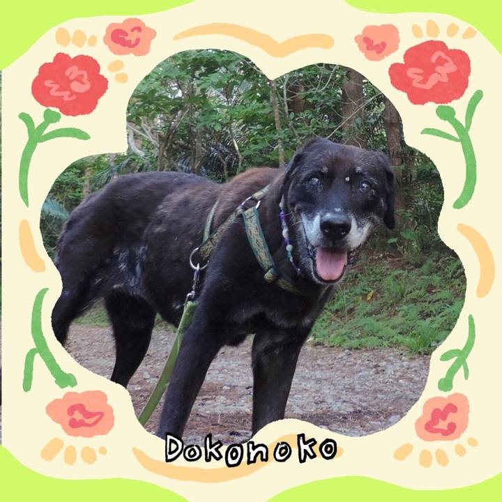 Edf11d3d 9874 409c b13a 098be03d89ec 1715264081750