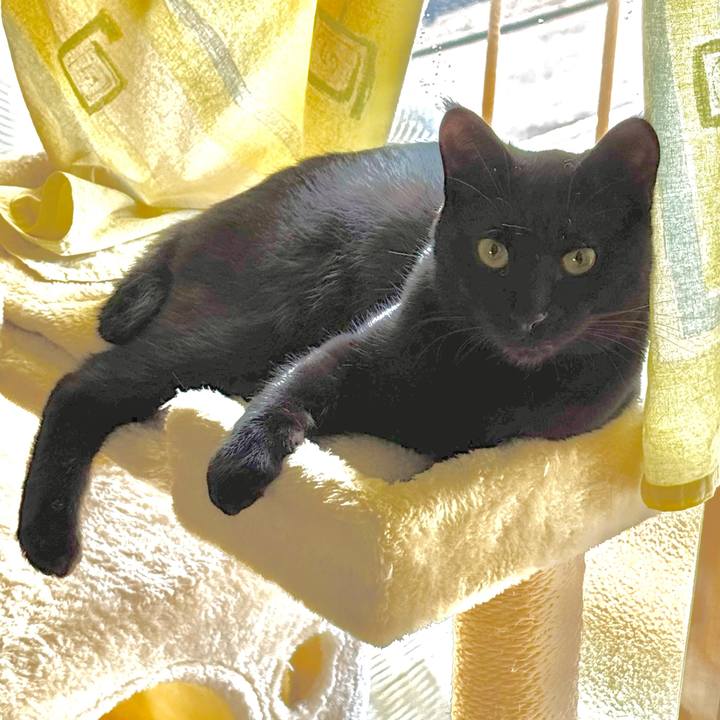 Edf127b6 87c5 4794 a82b fa99d6108c56 1743307968336