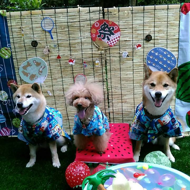 Edf14ee5 ffcc 44ee be04 abf4900cbd79 1533275663472