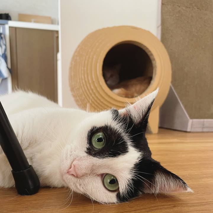 Edf19161 adc1 4c5d b305 c9c7fd1c5989 1626853060683