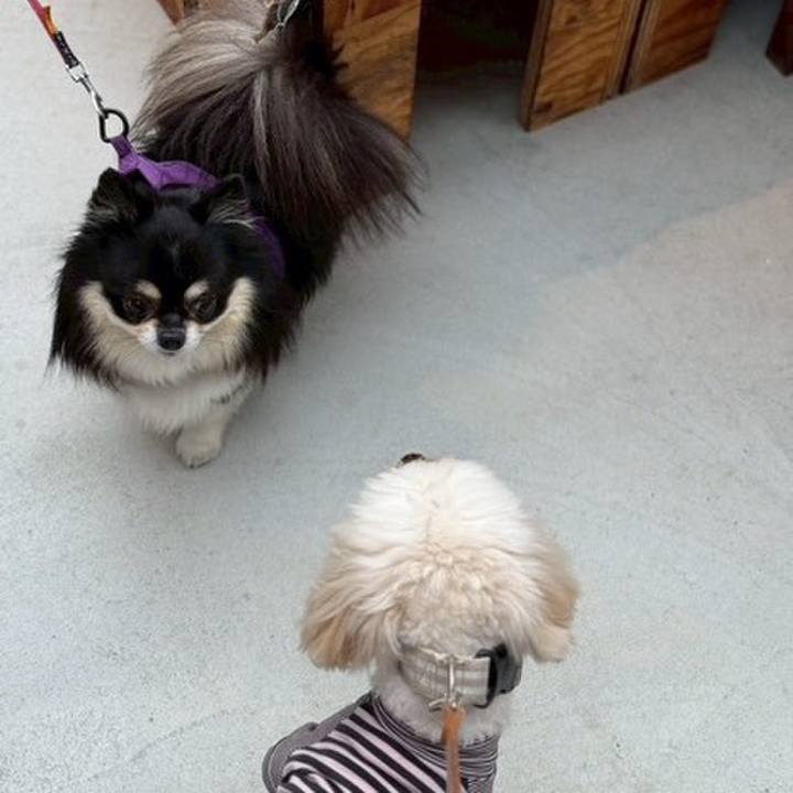 Edf1c171 21d6 443a 8e9f 15ee8605210e 1759836559108