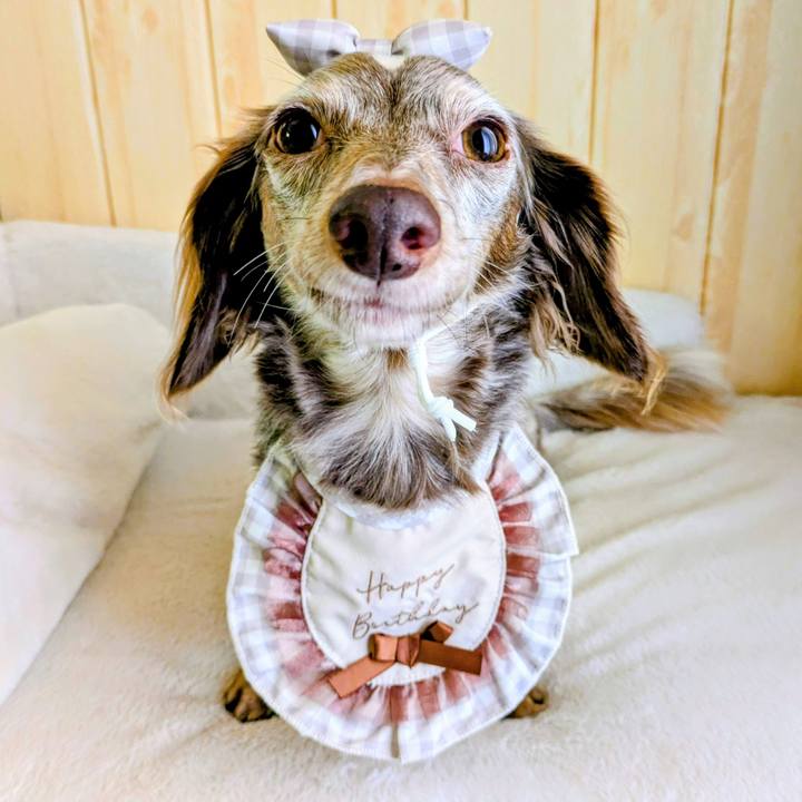 Edf1dda7 a5e7 4b88 8716 a8e4cc6a90e9 1765332393719