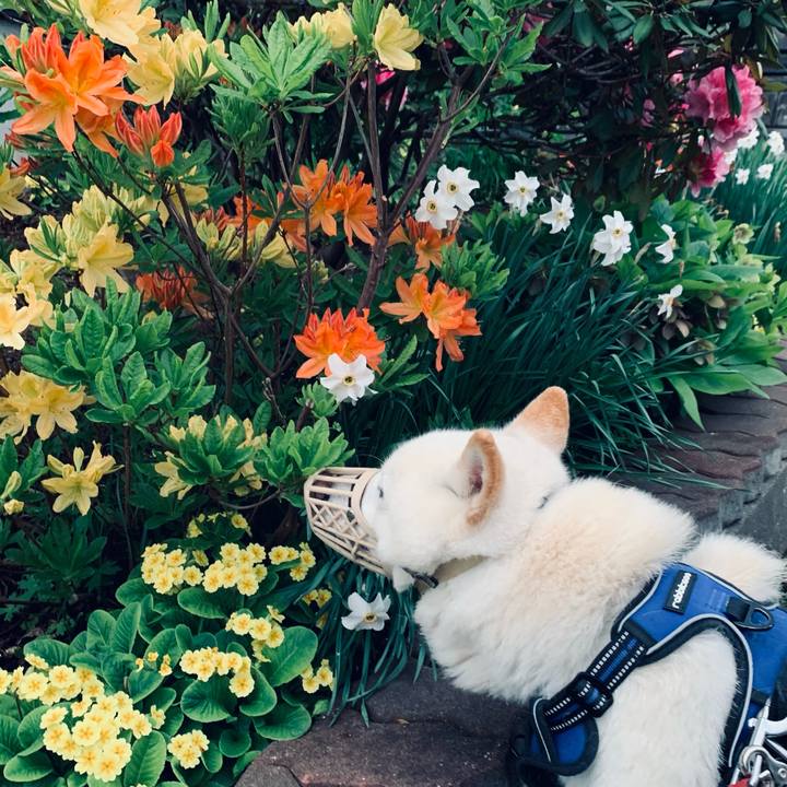 Edf20911 c5a3 4e40 b39d aafde32e4279 1622233968425