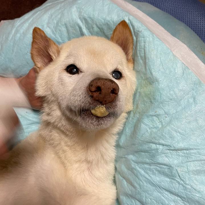 Edf24dd3 ba17 4fa3 a999 3c50bc295f8d 1679493546491