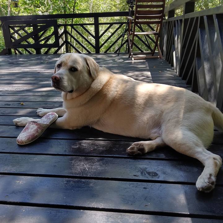 Edf24fdd eb7d 4685 a378 ab522d8df7e5 1692330649277