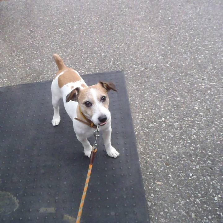 Edf2a9db d41b 425e 88d8 9ce83909bec2 1514435801416