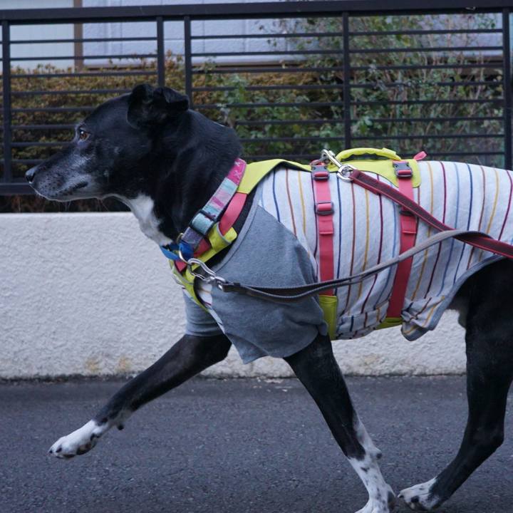 Edf2d64d 9354 4d3a b60d db5affd03f0d 1769042829625