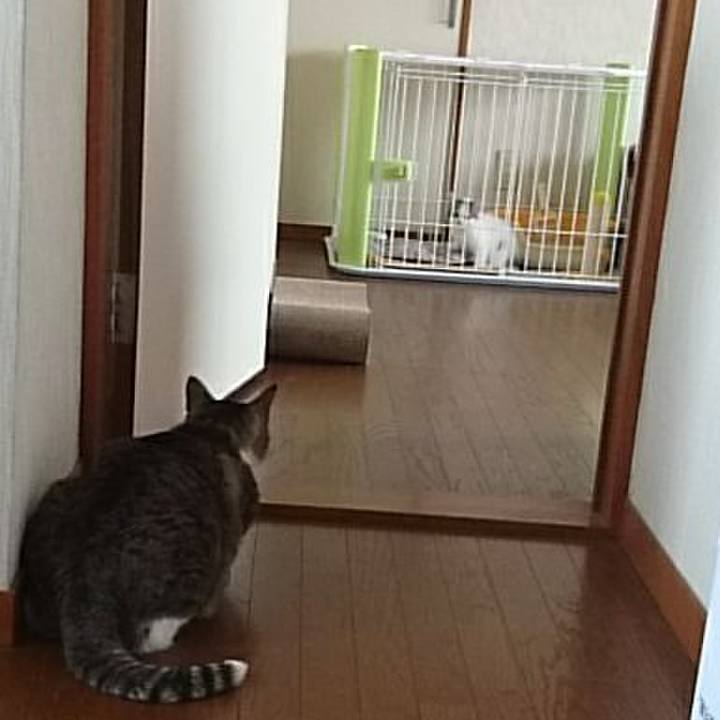 Edf302bb 66c1 4ae6 9aa5 de9099b7aca3 1526563716073